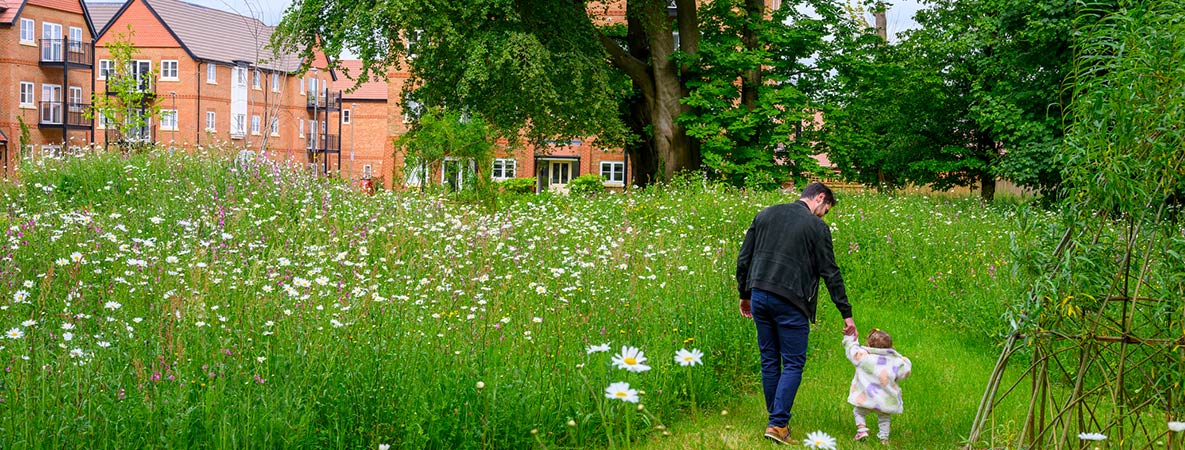 An image of a family walking through a field