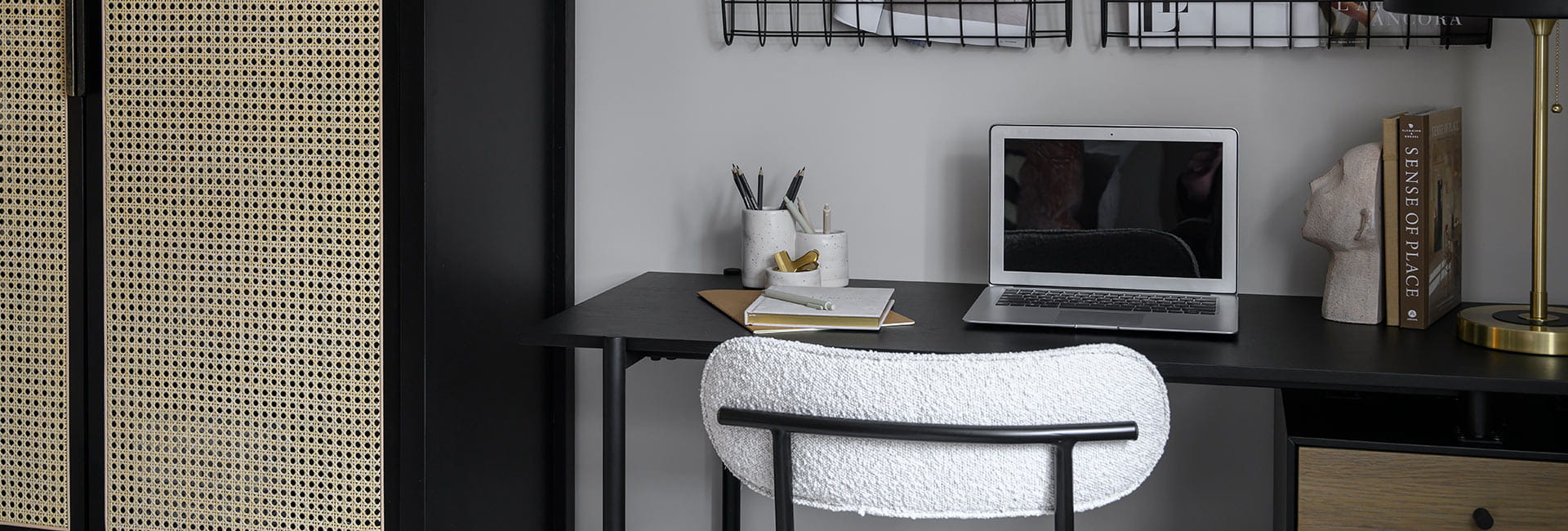 The Willow study area