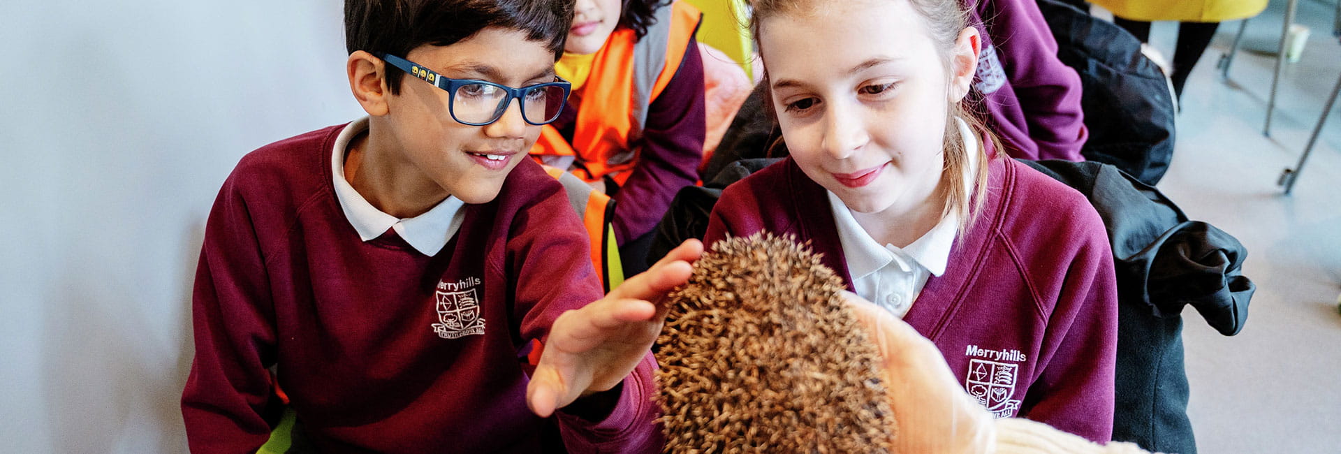 Children meeting a hedgehog and learning about awareness