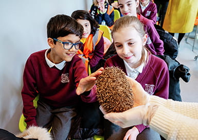 Berkeley and WRAS Host Hedgehog Awareness Workshop for Merryhill Primary School Pupils at Trent Park