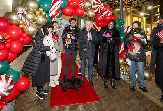 An image of people celebrating Christmas at 250 City Road