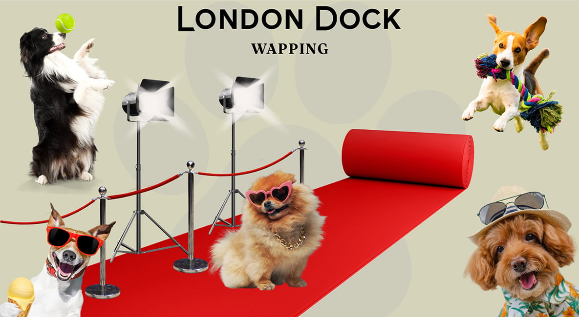 An artistic image of dogs performing tricks on a red carpet, advertising the Woofstock Dog Show.