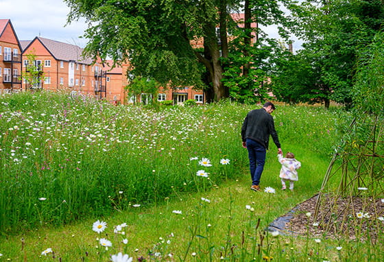 An image of a family walking through a field near a Berkeley Group development