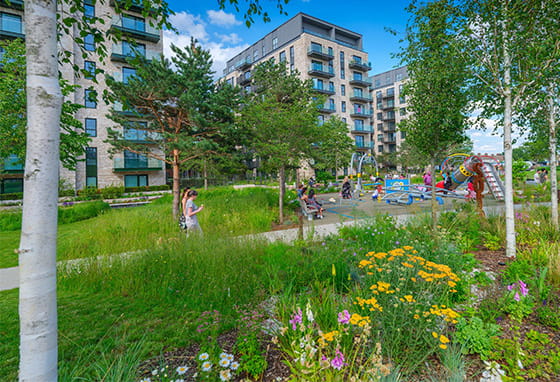 An image of the green space at The Green Quarter