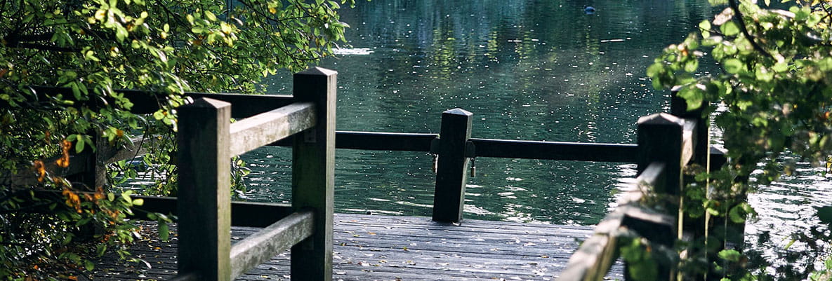 Greenery and nature around Wandsworth Mills