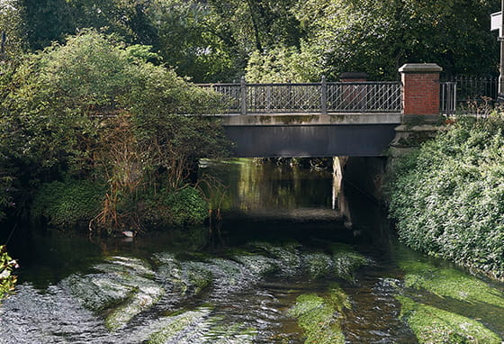 Greenery and nature around Wandsworth Mills
