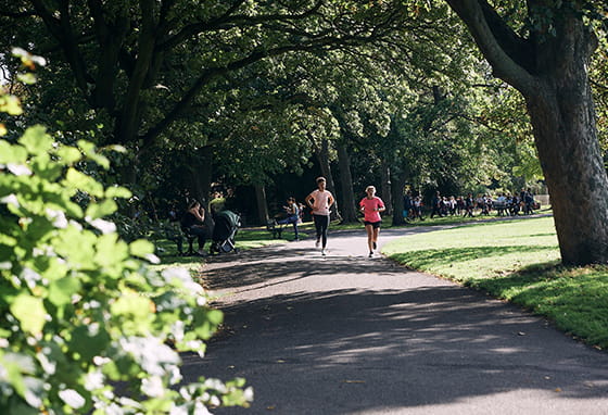 Greenery and nature around Wandsworth Mills