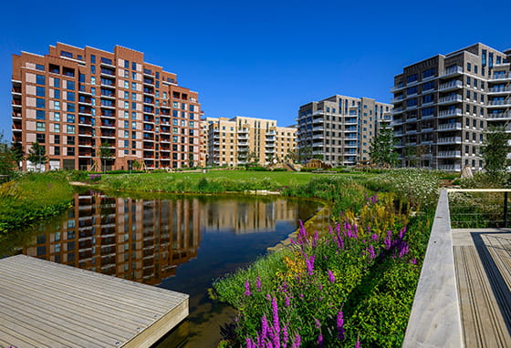 An exterior photo of Lombard Square