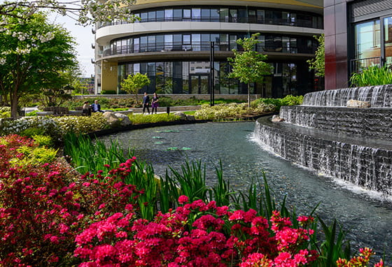 An image of the green and tranquil space available at a Berkeley development