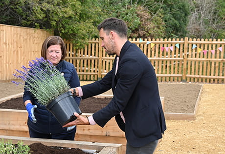 Two people planting lavender at the opening of Leighwood Fields community gardens.